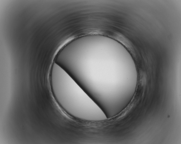 X0000088360806200705220732