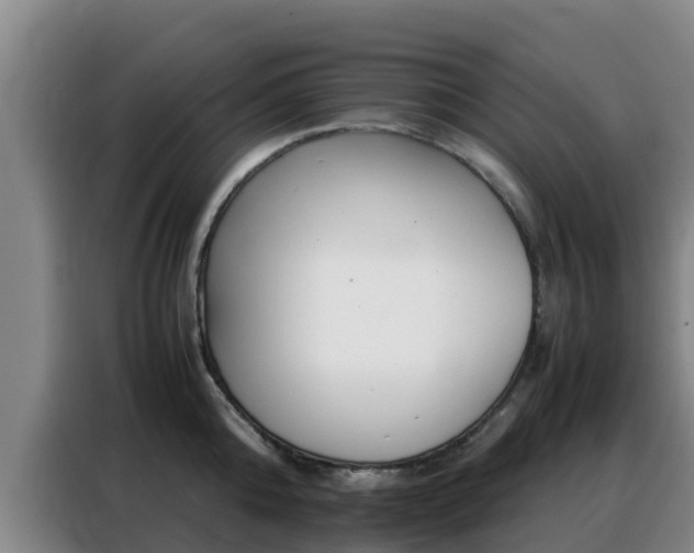 X0000088360808200705220732
