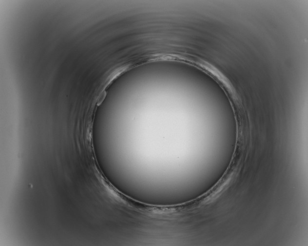 X0000088360809200705220732