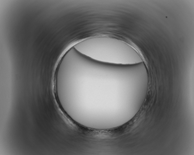 X0000088360811200705220732