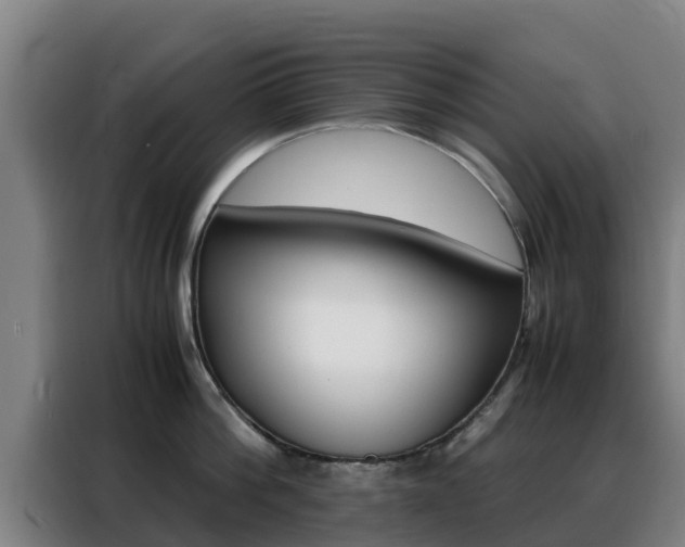 X0000088360812200705220732