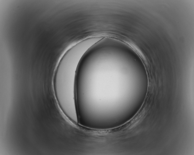 X0000088360813200705220731