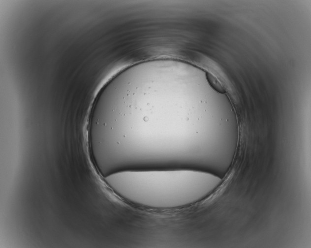 X0000088360814200705220731