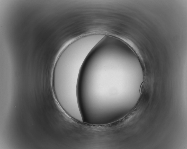 X0000088360815200705220731