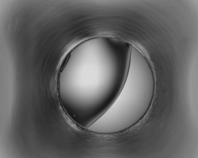 X0000088360816200705220731