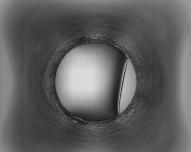 X0000088360817200705220731