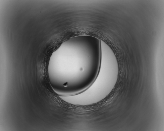 X0000088360818200705220731
