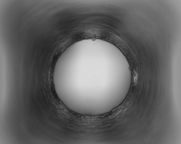 X0000088360819200705220731