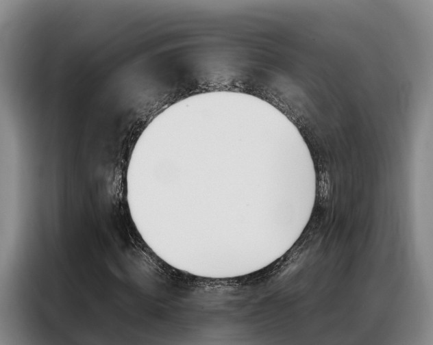 X0000088360820200705220731