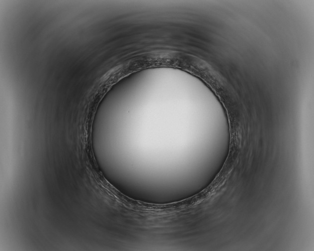 X0000088360821200705220731
