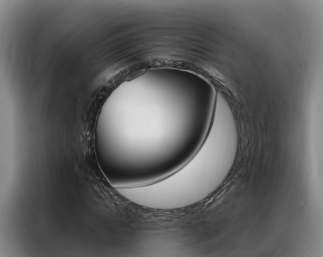 X0000088360822200705220731