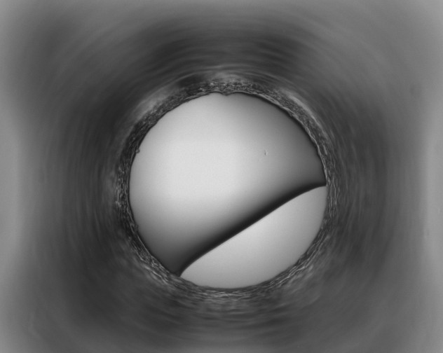 X0000088360823200705220731