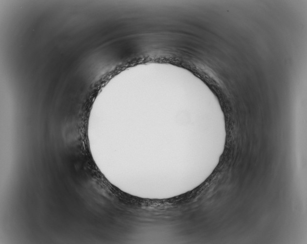 X0000088360824200705220731