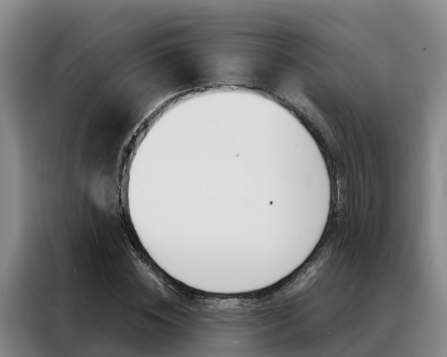 X0000088360828200705220731