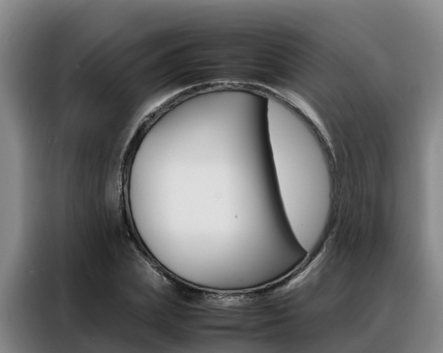 X0000088360831200705220731