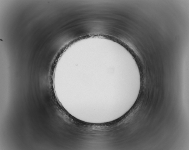X0000088360832200705220731