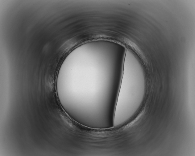 X0000088360833200705220731