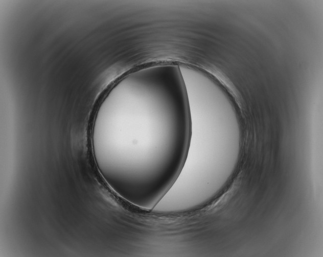 X0000088360834200705220731