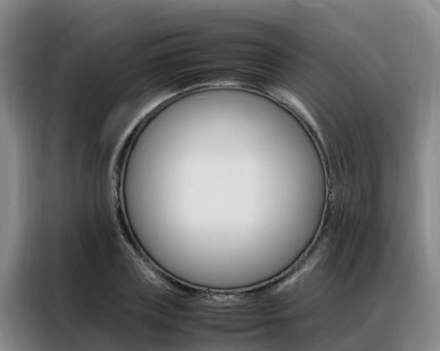 X0000088360835200705220731
