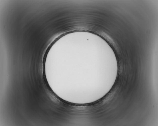 X0000088360836200705220731