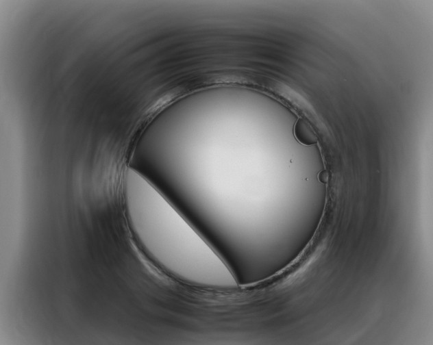 X0000088360841200705220731