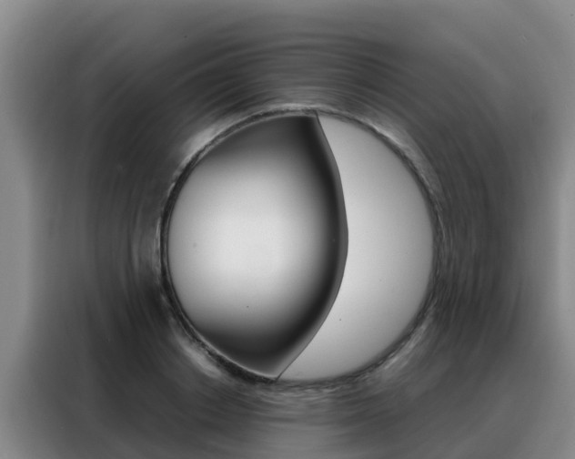 X0000088360842200705220731