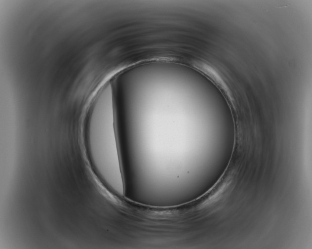 X0000088360843200705220731