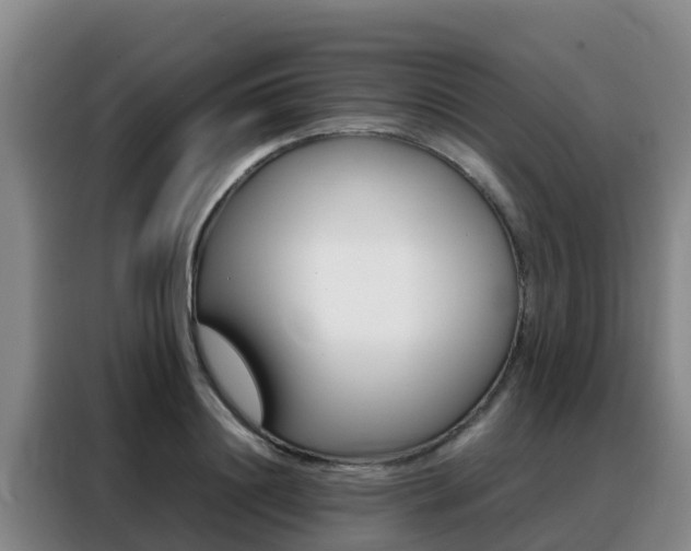 X0000088360844200705220731