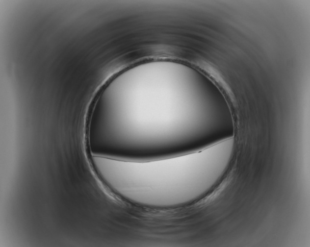 X0000088360845200705220731