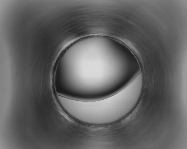 X0000088360846200705220731