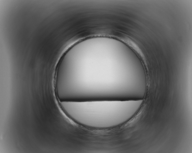 X0000088360847200705220731