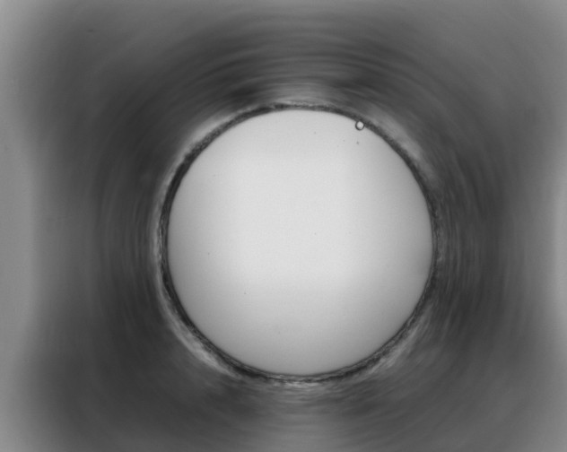 X0000088360848200705220731
