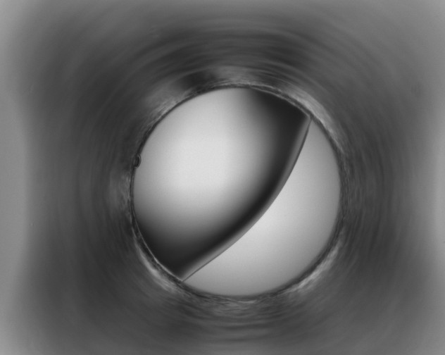 X0000088360849200705220731