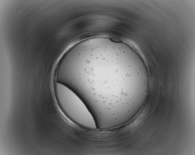 X0000088360851200705220731