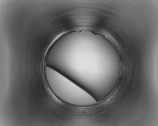 X0000088360852200705220731