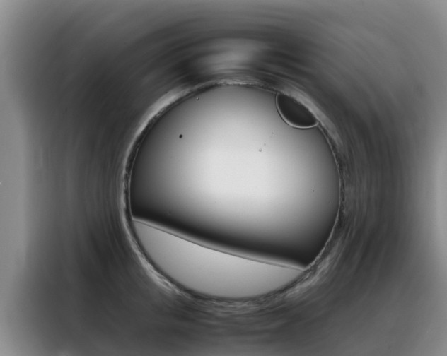 X0000088360853200705220731