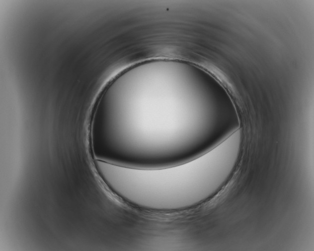 X0000088360854200705220731