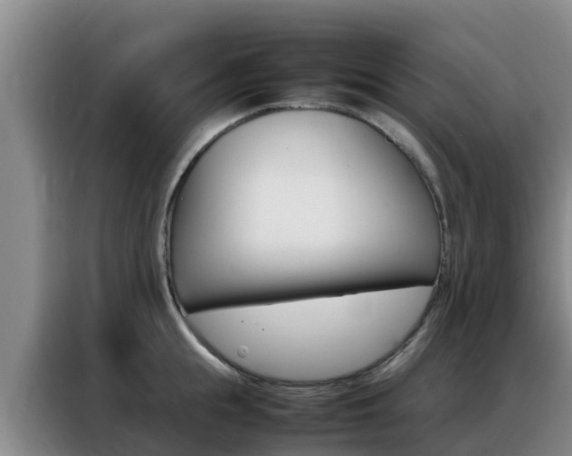 X0000088360855200705220731