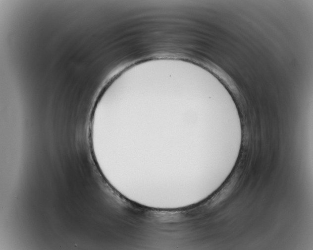 X0000088360856200705220731