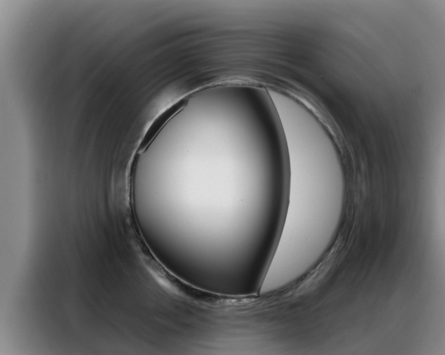 X0000088360858200705220731