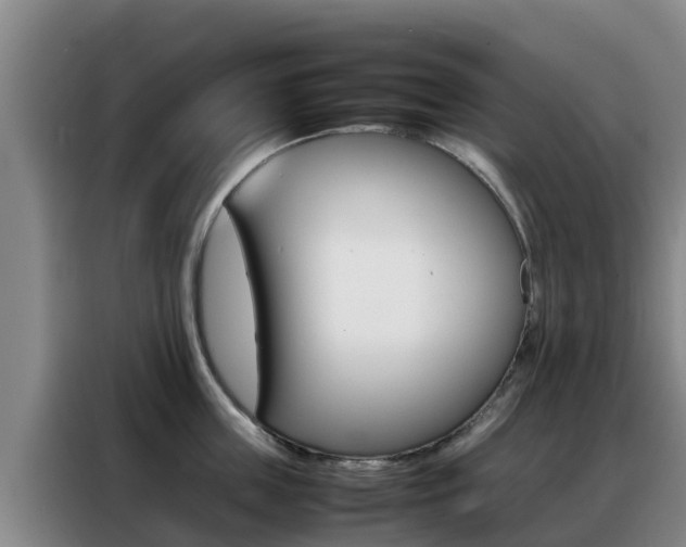 X0000088360859200705220731
