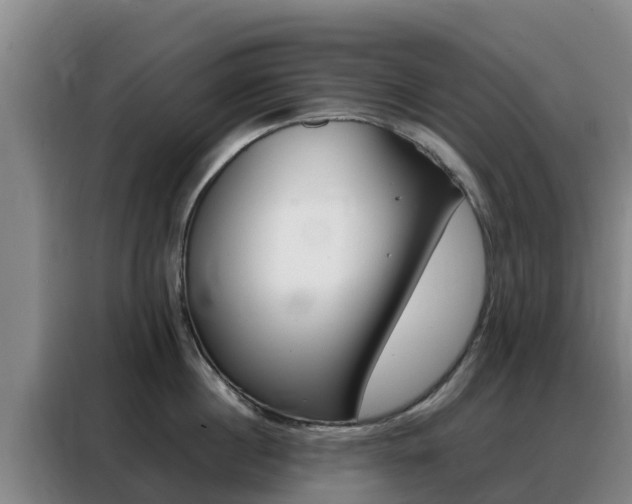 X0000088360860200705220731