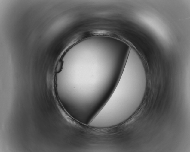 X0000088360861200705220731