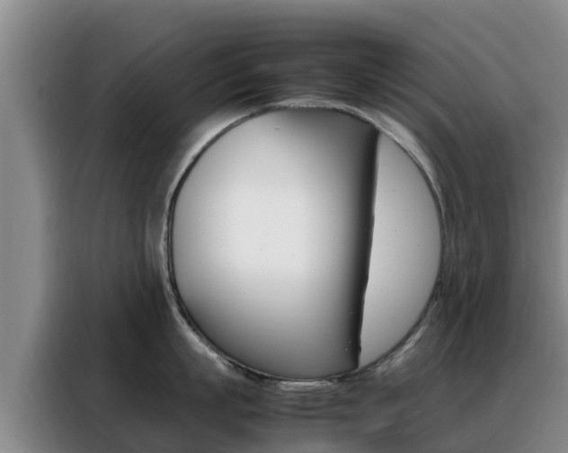 X0000088360863200705220731