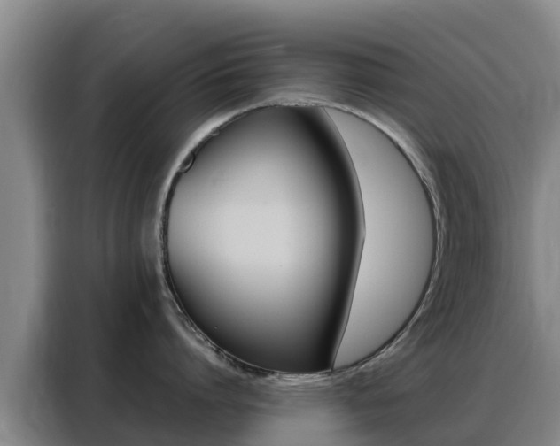 X0000088360864200705220731