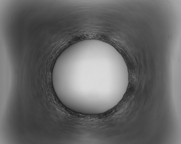 X0000088360865200705220731