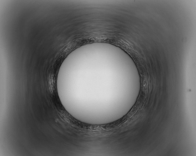 X0000088360866200705220731