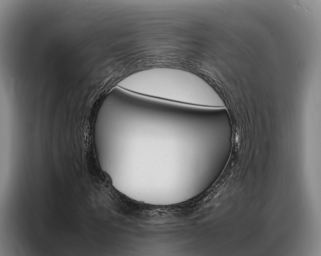 X0000088360867200705220731