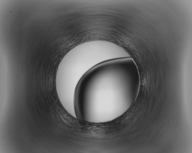 X0000088360868200705220731