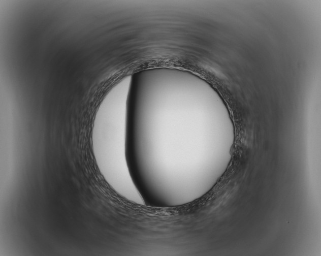 X0000088360869200705220731